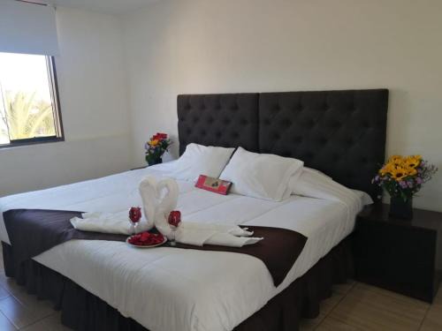 Yanahuara Casa | Hotel Cortaderas Arequipa