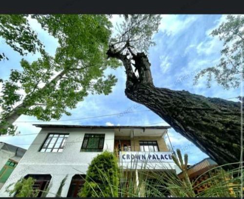 Srinagar Casa | Hotel Crown Palace
