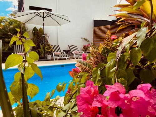 Uvita Hotel | Hotel Daleese