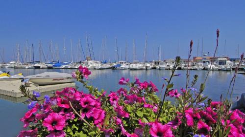 Le Barcares Hotel | Hotel De La Mer
