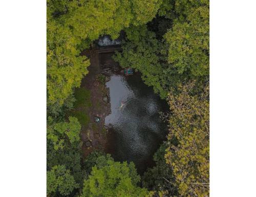 Río Cuarto Hotel | Hotel del Bosque