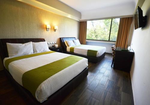 Morelia Hotel | Hotel Diana del Bosque by DOT Urban
