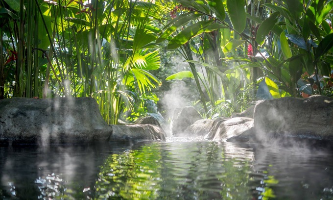 Aguas termales de Arenal Hotel | Hotel El Silencio del Campo