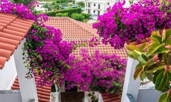 Sivota Hotel | Hotel Elena