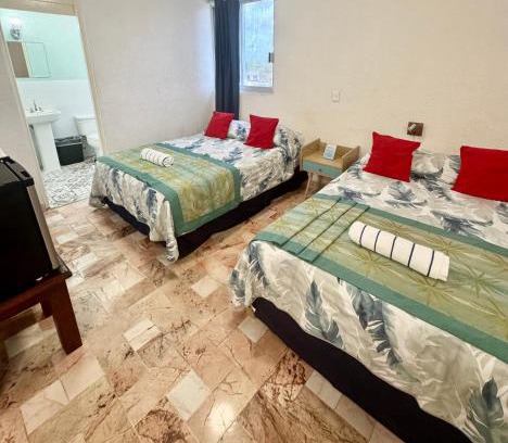 Centro de Cancún Hotel | Hotel Farallon Inn Cancún