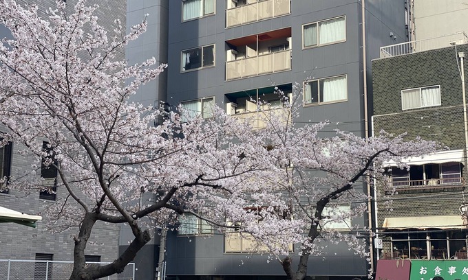 Nishi Apartamento | HOTEL ffosaka.com