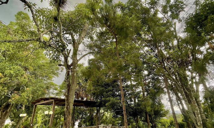 San Salvador Hotel | Hotel Finca San Nicolas