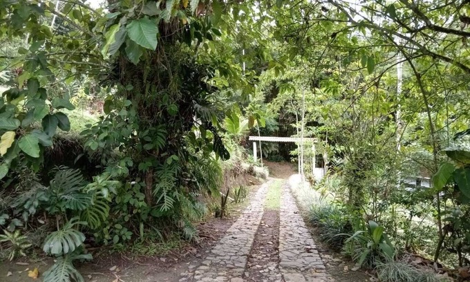 Turrialba Hotel | Hotel Green Mountain Turrialba