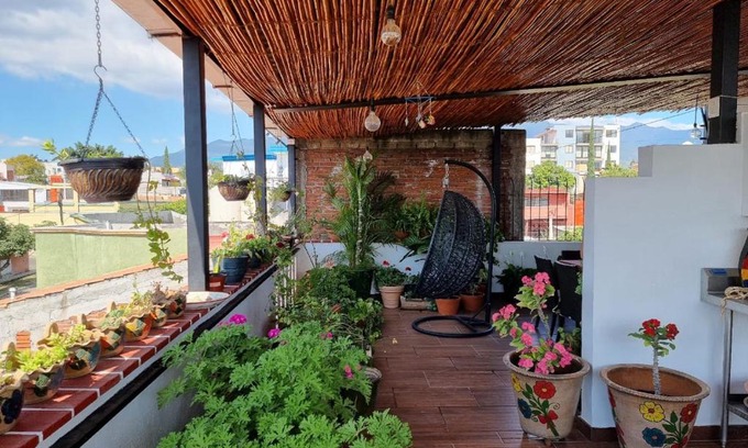 Reforma Hotel | Hotel House Isabel