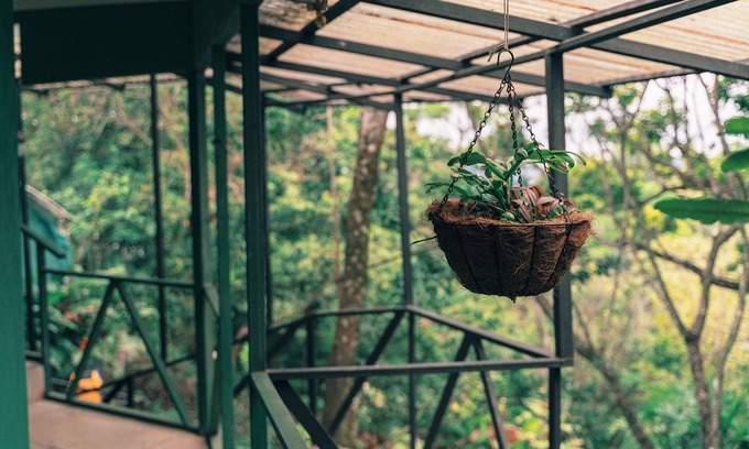Monteverde Hotel | Hotel Jardines de Monteverde