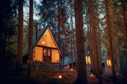 Dolni Mesto Apartamento | Hotel Kouty - Lesní Apartmány