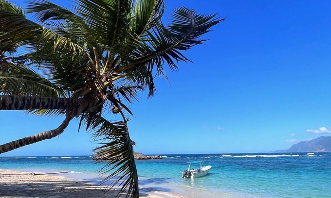 Las Terrenas Hotel | Hotel La Tortuga