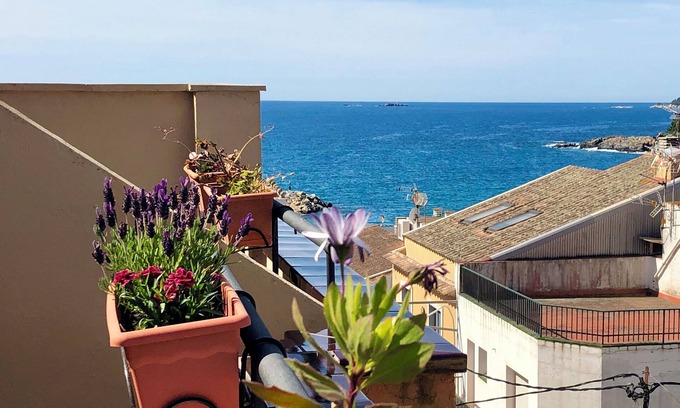 Llafranc Hotel | Hotel Medium Montecarlo