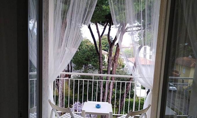 Marina di Pietrasanta Hotel | Hotel Milano
