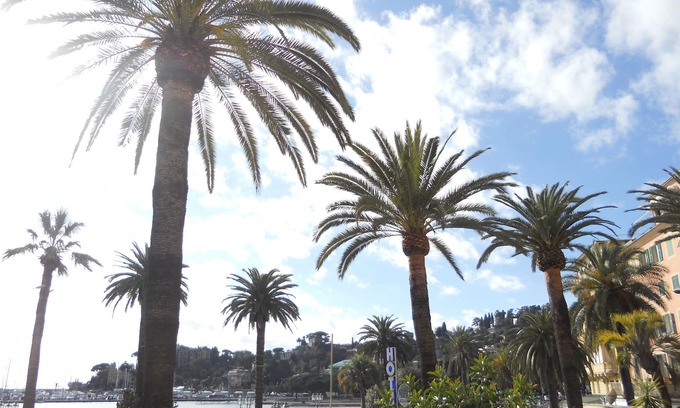 Rapallo Hotel | Hotel Mirò