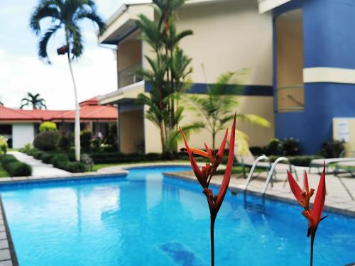 La Fortuna Hotel | Hotel Monte Real