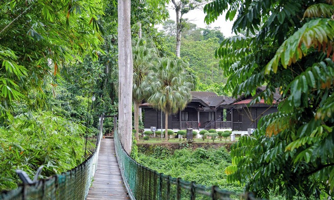 Kuala Tahan Hotel | OYO 91160 Asiacamp Resort National Park