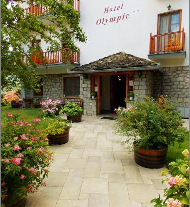 Metsovo Hotel | Hotel Olympic