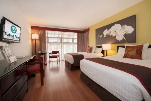 Mata Redonda Hotel | Hotel Palma Real