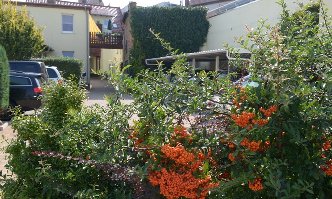 Senftenberg Casa | Hotel Pension Mandy