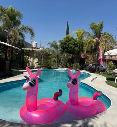 Tehuacán Hotel | Hotel Pink TH
