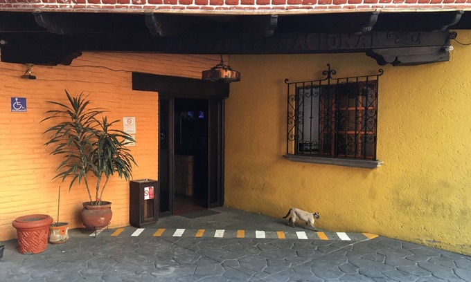 Cuauhtémoc Hotel | Hotel Playa Internacional