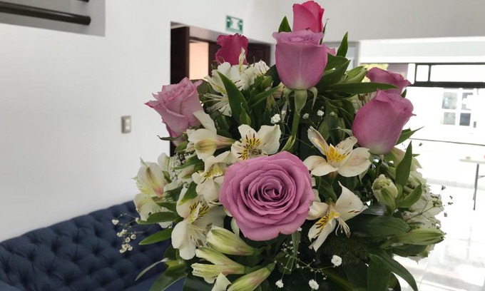 Tuxtla Gutiérrez Hotel | Hotel Plaza Amalia