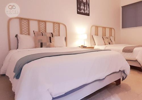 Gascue Hotel | Hotel Plaza Kavia