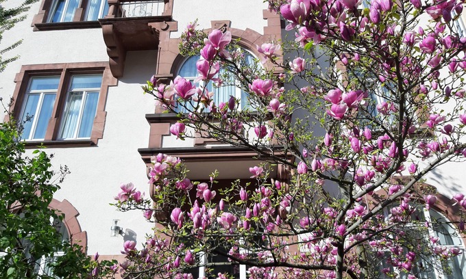 Bockenheim Hotel | Hotel Robert Mayer