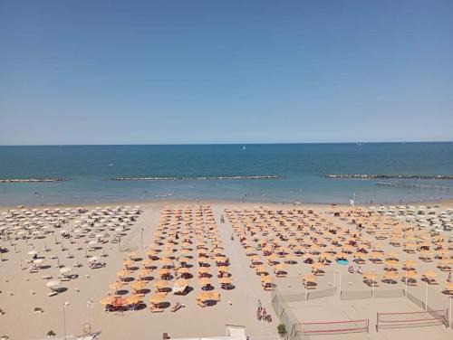 Viserba Hotel | Hotel Salsedine " 4 min da Rimini FIERA ! "