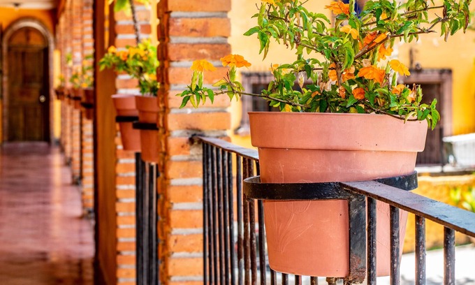 Cerro Azul Hotel | Hotel San Carlos
