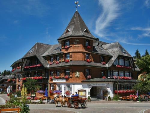 Hinterzarten Hotel | Hotel Schwarzwaldhof