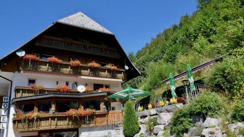Menzenschwand-Hinterdorf Hotel | Hotel Silberfelsen