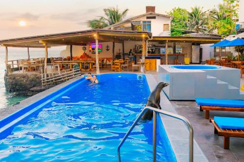 Bahía de la Academia Hotel | Hotel Solymar