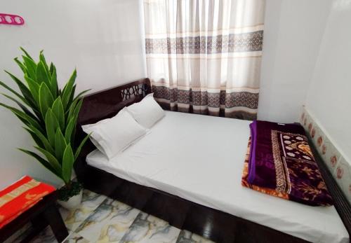 Dhaka Hotel | Hotel Taqwa Dhanmondi