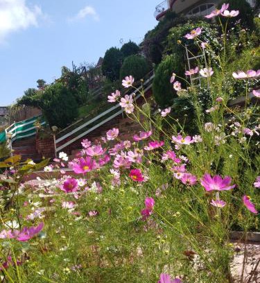 Naddi Hotel | Hotel Victoriya Palace,Mcleod Ganj