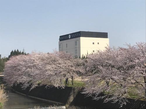 Kosei Hotel | Hotel Xenia Mikumo (Adult Only)