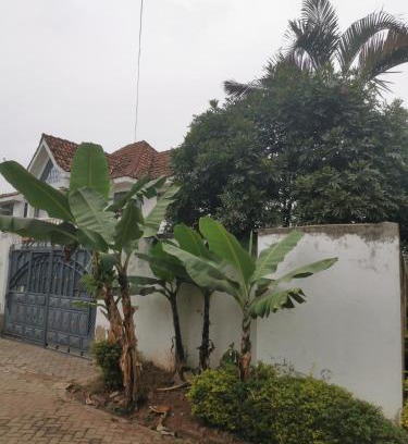 Kasarani Casa | House 21,Cedar Groove