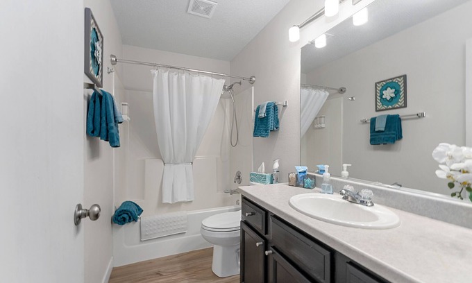Buffalo Ridge Casa | House By Sanford Sports Complex - Family Friendly with private HOT TUB
