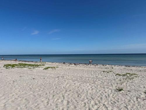 Greve Villa | House direct to beach