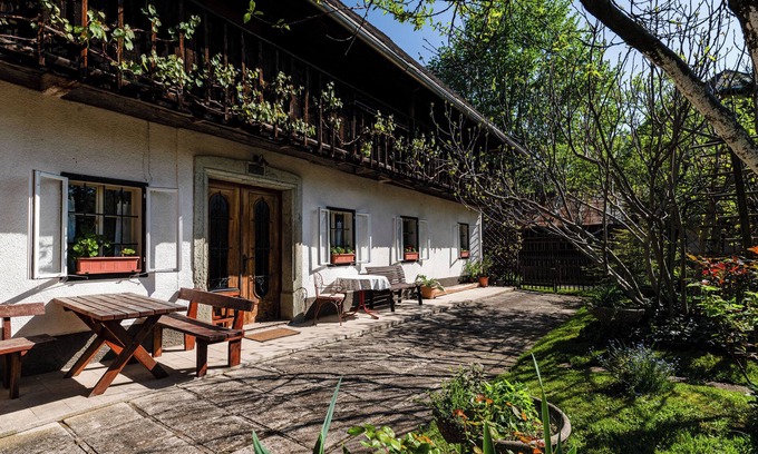 Bled Casa | Casa, jardín y un gato verde