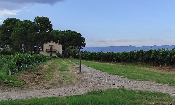 Mirto Cabaña | House in a romantic citrus grove, private access to the beach, relax and tranquility!