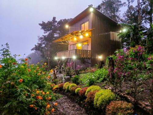 Quebrada Grande Cabina | House in the Clouds Monteverde
