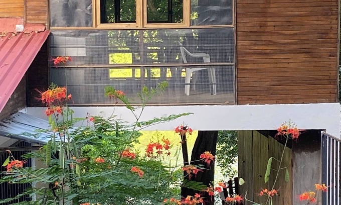 Cuajiniquil Casa | House in the MANGLAR and ESTETICA
