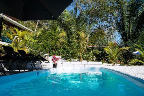 Puerto Carrillo Casa | House in the palm forest