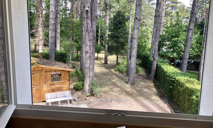 Quend Casa | Casa en el bosque de pinos