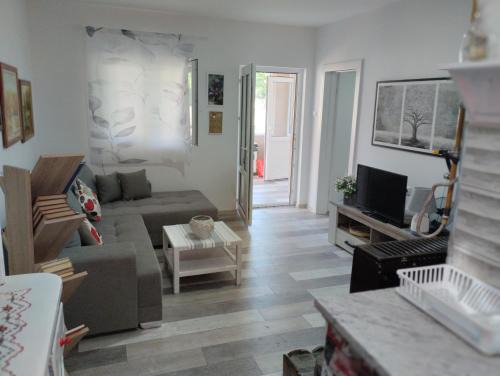 South Backa District Casa | House&Mini-camp SKELICA