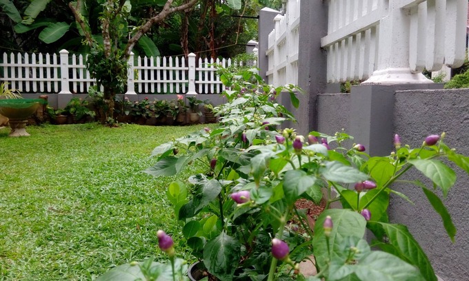 Seeduwa - Katunayake Cama Y Desayuno | House Of Le Meridien