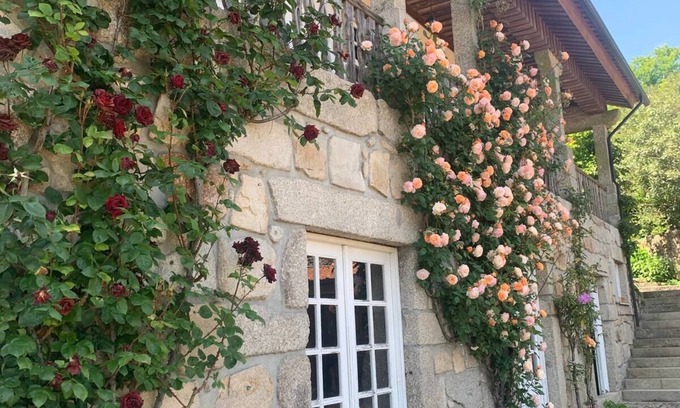 Santo Tirso Cabaña | House of the three boys