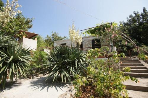 Cove Rogacic Casa | House Paulo1
